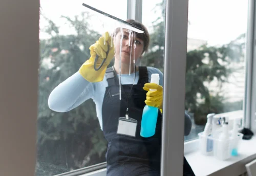 Nettoyage de vitres intérieures et extérieures à Bridoré